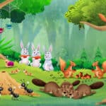 woodland walk recap image