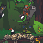 Amazon_image_7